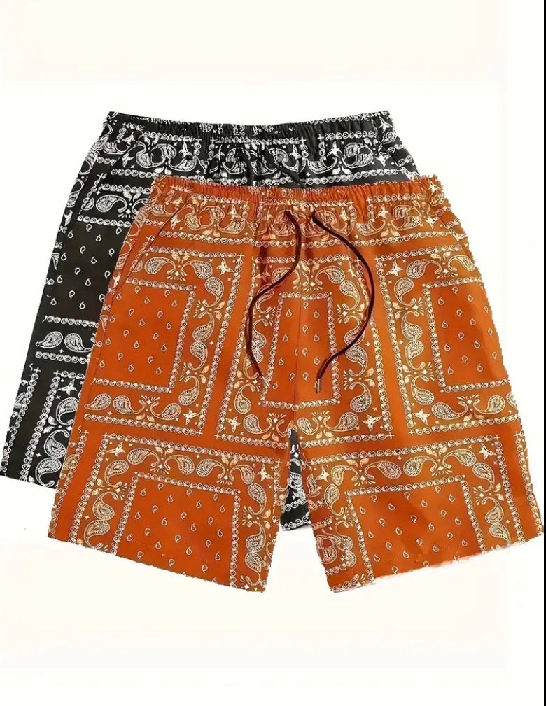 2Pcs Bandana Print Shorts
